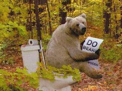 bear-shitting.jpg