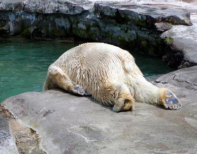 hangover_43534.jpg