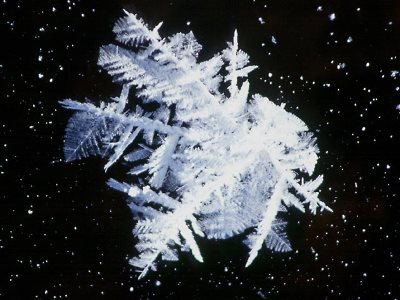 ice_crystal_01.jpg