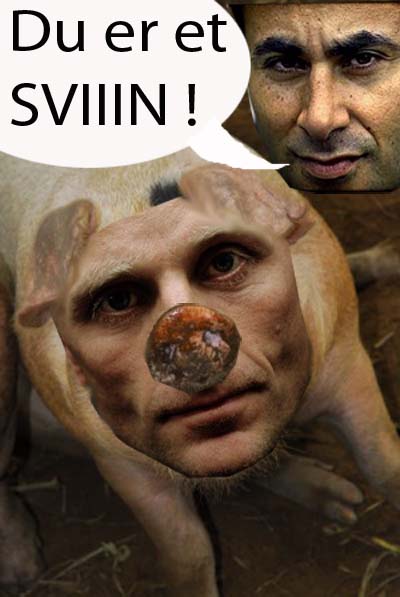 khader_svin.jpg